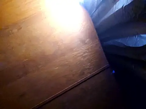 UncutHammer69 online show from February 17, 3:29 pm