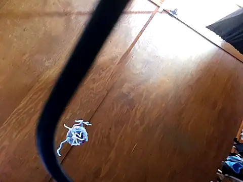 UncutHammer69 online show from April 14, 9:21 pm