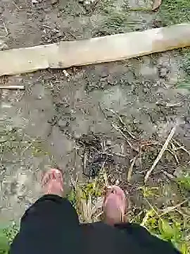 Snapshot of bigh96dik chatting on January 14, 8:41 am bigh96dik online show from January 14, 8:41 am