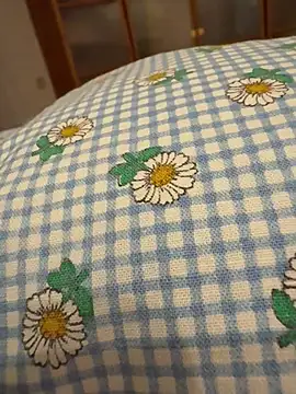 geilerboy2628 online show from April 3, 9:57 pm