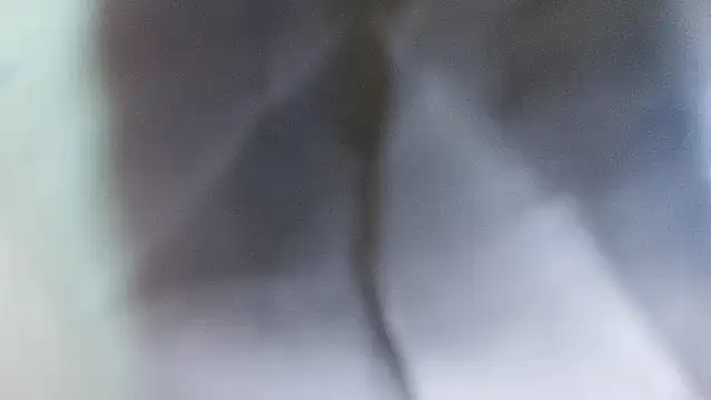 domjoab online show from February 2, 11:31 am