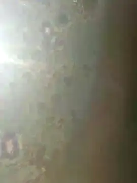 misscectito13 online show from November 18, 10:31 am