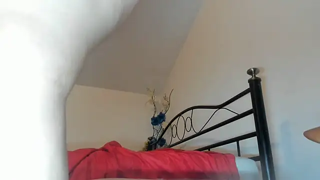 simona butterfly online show from March 11, 10:38 pm