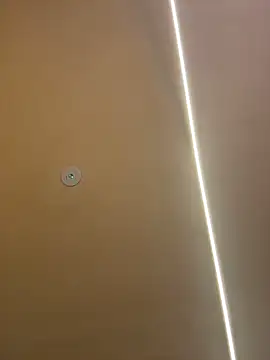 Gatitacarlita online show from November 26, 10:27 am