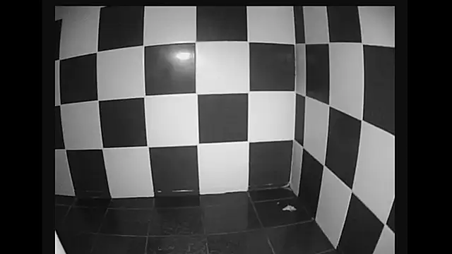 lysergic47 online show from January 28, 11:07 pm