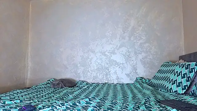 Snapshot of angeliquevany chatting on October 7, 2:14 pm angeliquevany online show from October 7, 2:14 pm
