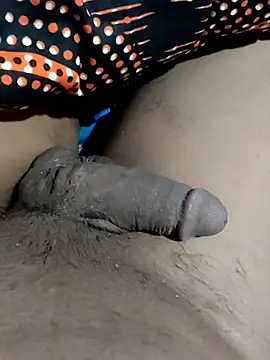 Snapshot of hq9870a chatting on February 4, 4:13 pm hq9870a online show from February 4, 4:13 pm