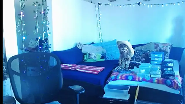 mycock2474u online show from February 25, 3:38 pm