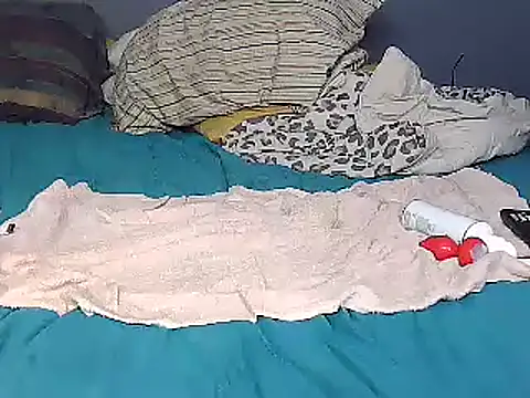 Snapshot of k-dong chatting on February 1, 11:43 am k-dong online show from February 1, 11:43 am