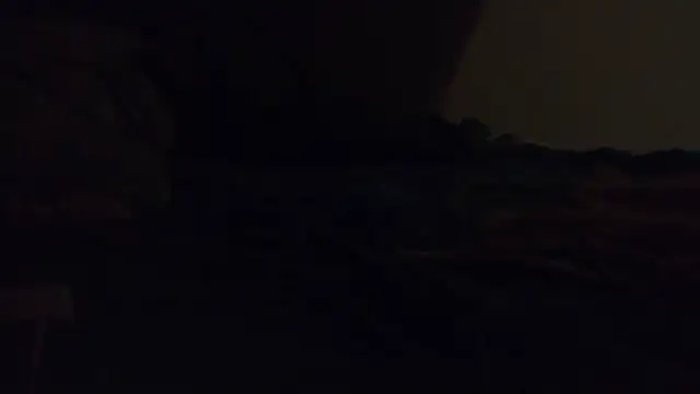 Snapshot of k-dong chatting on November 28, 11:29 pm k-dong online show from November 28, 11:29 pm