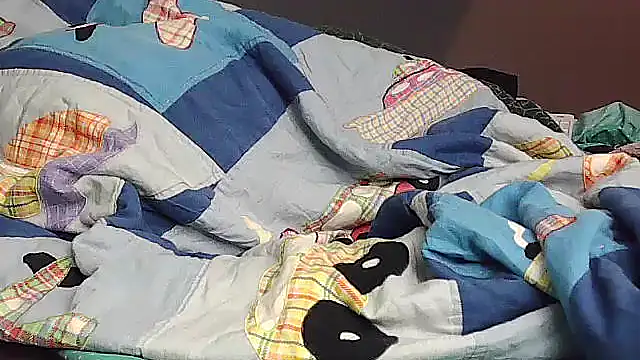 Snapshot of k-dong chatting on November 29, 11:35 am k-dong online show from November 29, 11:35 am