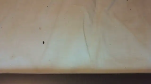 Helly97 online show from October 23, 8:07 pm