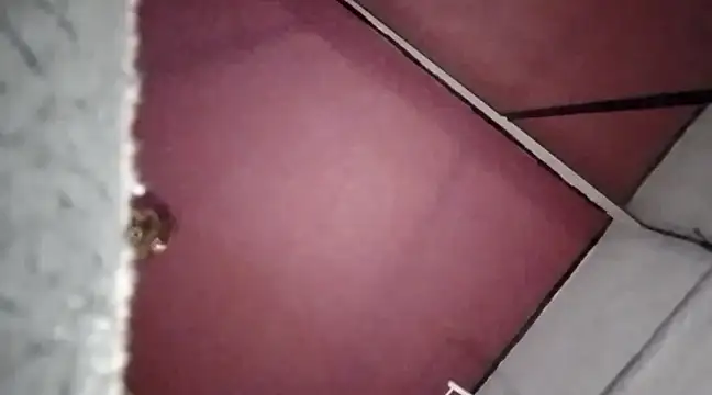 Snapshot of Mariusz38x chatting on December 30, 10:34 pm Mariusz38x online show from December 30, 10:34 pm