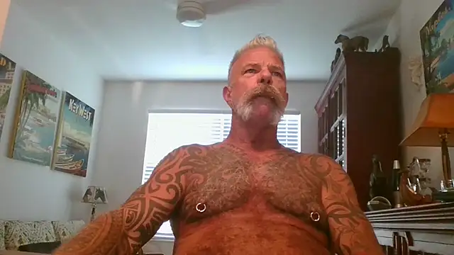 njdbear online show from November 1, 9:17 pm