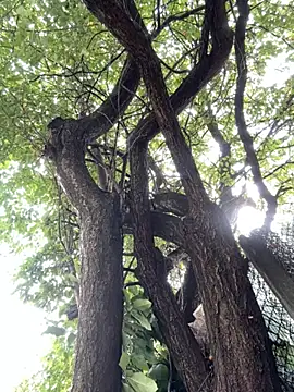 Night dreams online show from September 20, 7:53 am