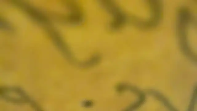 fmodel online show from January 3, 3:44 pm