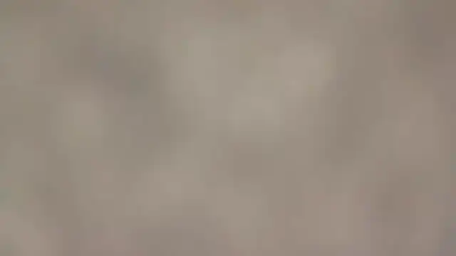 fmodel online show from September 11, 1:44 pm