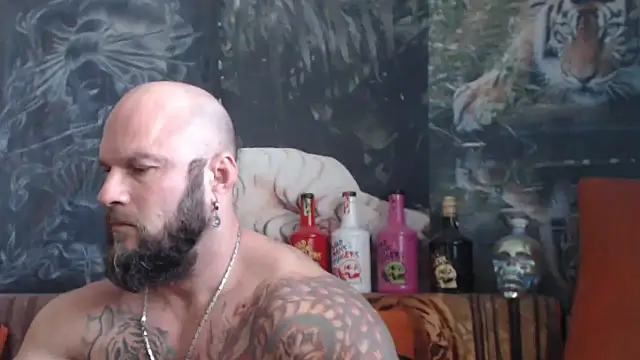 viking 30 online show from October 1, 7:47 am