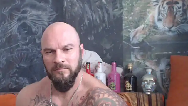 viking 30 online show from October 28, 11:14 am