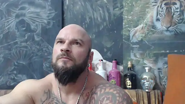 viking 30 online show from November 19, 7:03 pm