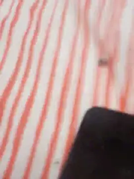MRbigc23 online show from May 31, 3:08 pm