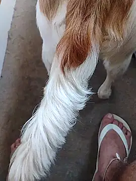 Snapshot of yourboysexy19 chatting on December 4, 9:01 pm yourboysexy19 online show from December 4, 9:01 pm