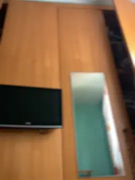 camelia3 online show from March 5, 12:45 pm