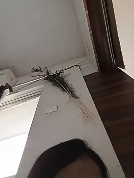 Snapshot of Manjushri35 chatting on February 14, 4:47 am Manjushri35 online show from February 14, 4:47 am