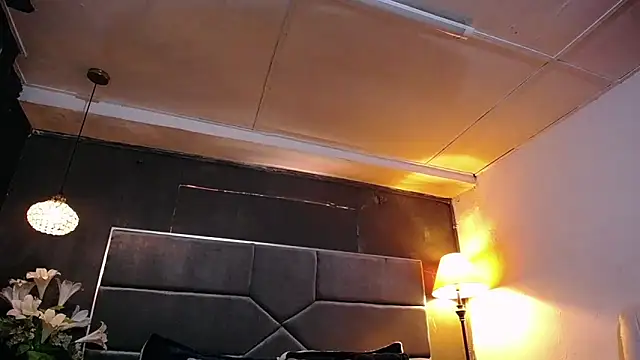 teddyfit19cm online show from February 23, 1:30 pm