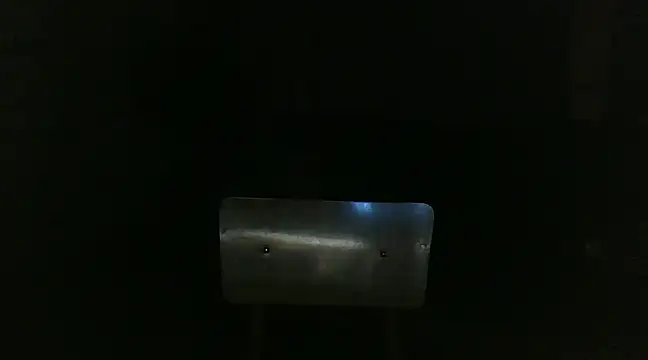 Snapshot of venenus chatting on January 29, 1:05 am venenus online show from January 29, 1:05 am