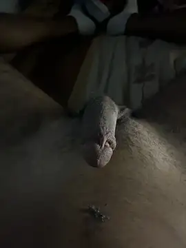 mamoubz online show from November 3, 11:04 pm