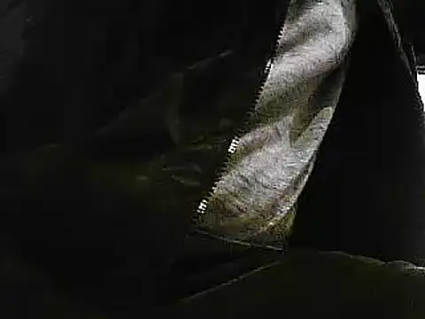 papiculo86 online show from January 29, 9:33 am