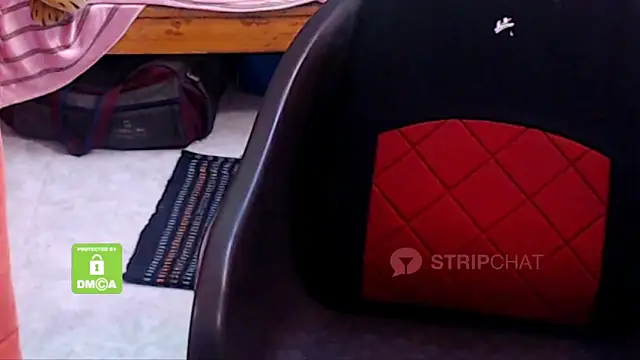 Novapol online show from January 5, 5:51 pm