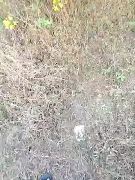 rameshmry1 online show from March 21, 12:10 pm