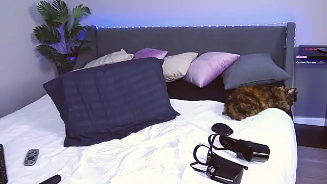 EvaMoses online show from February 28, 2:09 pm