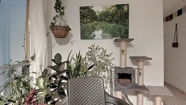 Snapshot of sexnherbs chatting on February 11, 12:37 am sexnherbs online show from February 11, 12:37 am