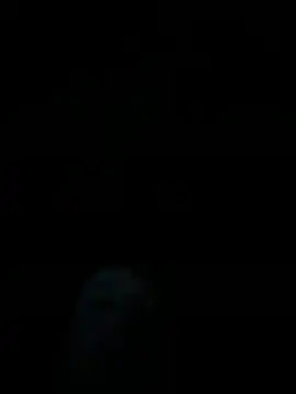 Snapshot of dropmoney chatting on December 1, 5:01 am dropmoney online show from December 1, 5:01 am