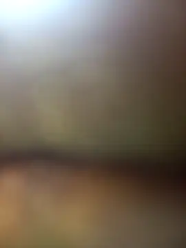 FinableKnee online show from November 27, 5:31 am