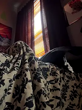 spideyzaddy online show from November 26, 4:41 pm