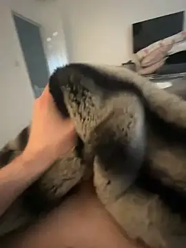 Furdale online show from February 8, 9:46 am