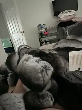 Furdale online show from November 10, 2:49 pm