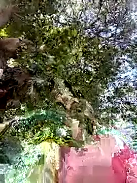 Snapshot of Nicolle_Milf chatting on September 24, 6:55 pm Nicolle Milf online show from September 24, 6:55 pm