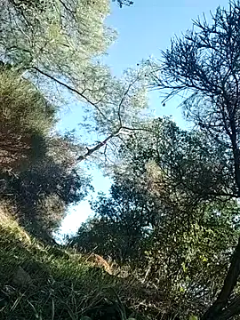 Poyraz6996 online show from November 14, 11:53 am