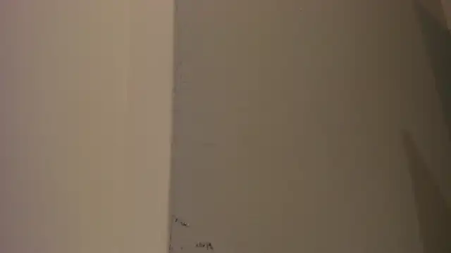 LANA-JONNES online show from January 10, 9:55 am