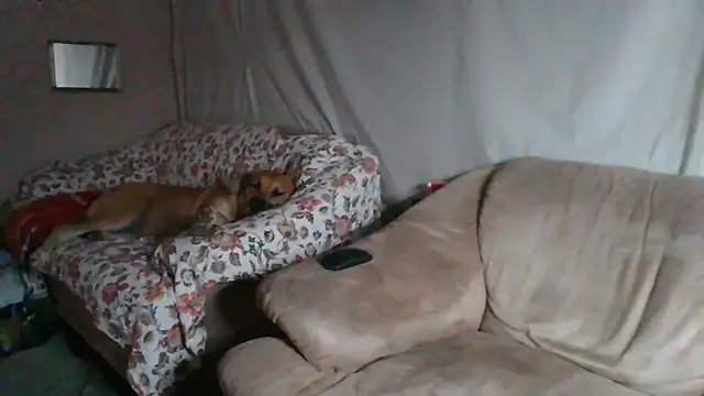 xykenrah48 online show from March 18, 1:20 am