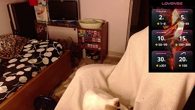 Snapshot of Apolo_S chatting on February 14, 8:33 am Apolo S online show from February 14, 8:33 am