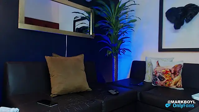 Snapshot of Markboyl chatting on December 4, 2:42 am Markboyl online show from December 4, 2:42 am