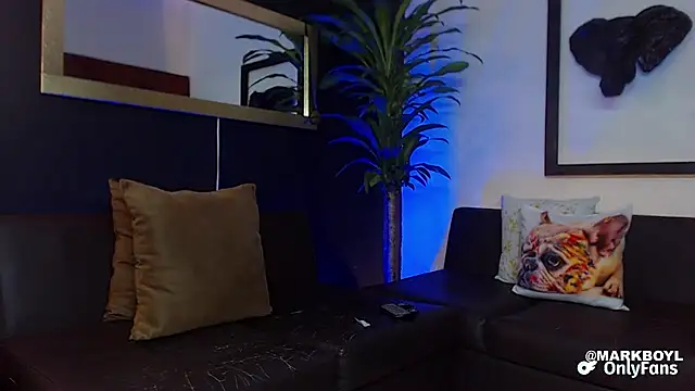 Snapshot of Markboyl chatting on December 5, 1:28 pm Markboyl online show from December 5, 1:28 pm