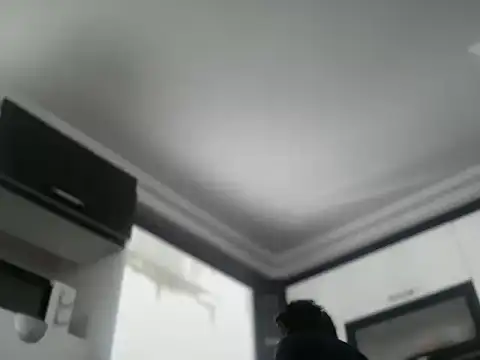 Snapshot of ALPHANDRE chatting on October 25, 8:33 am ALPHANDRE online show from October 25, 8:33 am