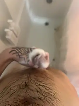 Snapshot of ThatTattooedGuy chatting on December 1, 8:52 am ThatTattooedGuy online show from December 1, 8:52 am